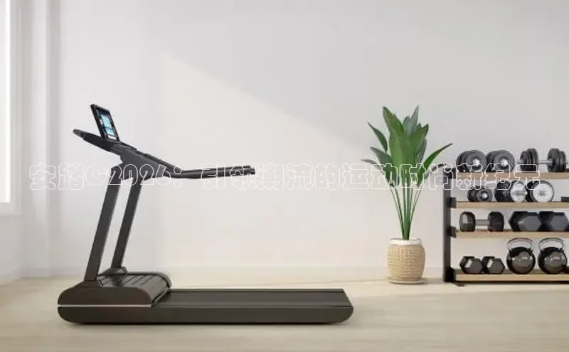 XC体育