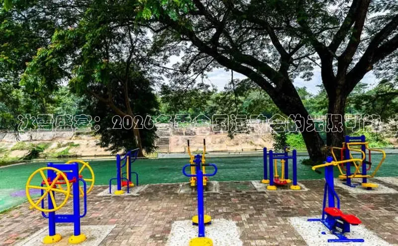 xc体育官网入口